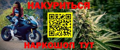 стаф Будённовск