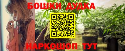 стаф Будённовск