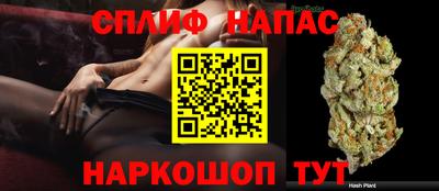 стаф Будённовск