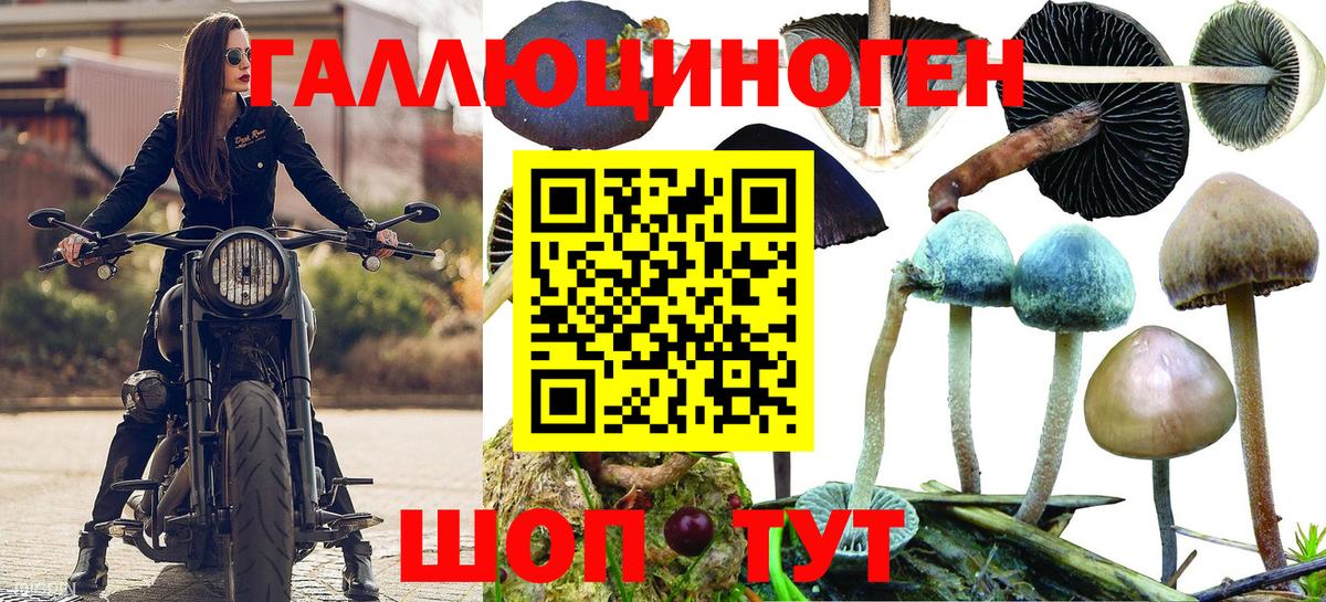 Галлюциногенные грибы Psilocybe  Галлюциногенные грибы ЛСД  Оренбург  Вход с VPN 